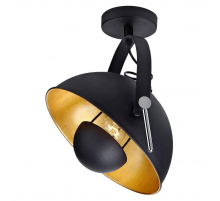 Спот Lussole Loft Bollo LSP-9825