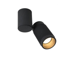 Спот Favourite Kinescope 2452-1U