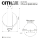 Спот Citilux Декарт CL704100