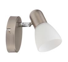 Спот Toplight Violet TL1231Y-01SN