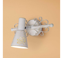 Спот Citilux Дункан CL529512