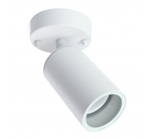 Спот Feron Бостон 48323