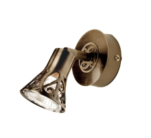 Спот Citilux Винон CL519513