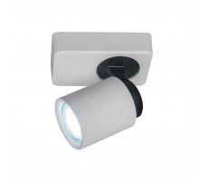 Спот Citilux Норман CL533510