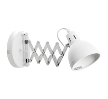 Спот Lussole Loft Koyukuk LSP-8048V