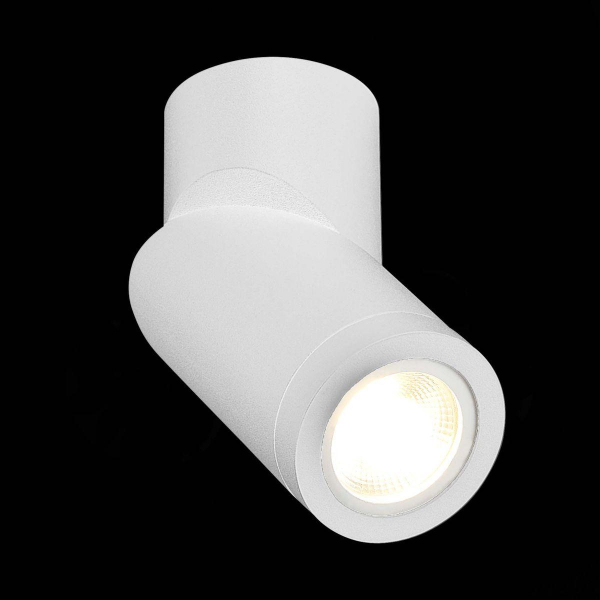 Спот ST Luce ST650.502.01 Спот ST Luce ST650.502.01