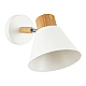 Спот Evoluce Buve SLE103701-01