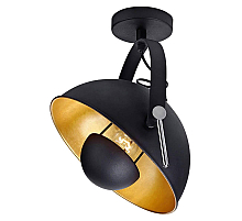Спот Lussole Loft Bollo GRLSP-9825