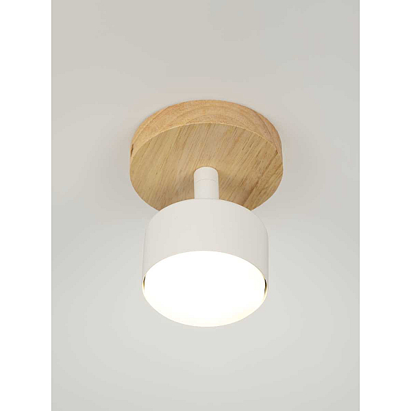 Спот Rivoli Vivian 7078-701 Б0069927