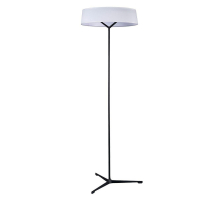 Торшер Divinare Alma 1029/06 PN-11