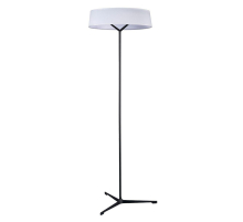 Торшер Divinare Alma 1029/06 PN-11