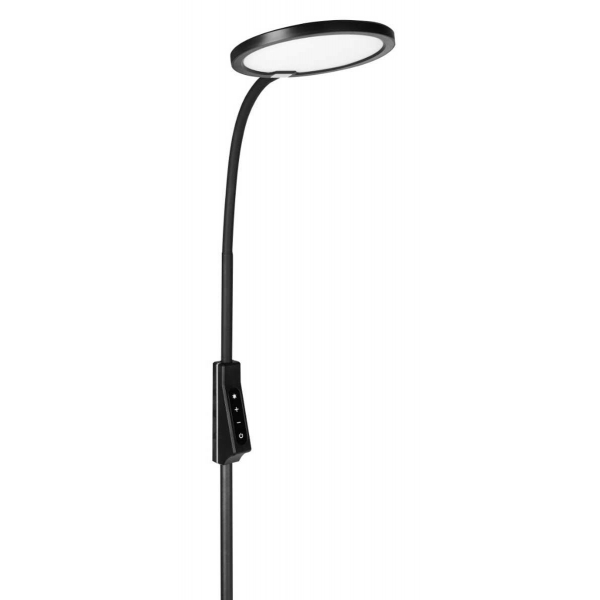 Торшер Camelion KD-836F C02 13407 Торшер Camelion KD-836F C02 13407