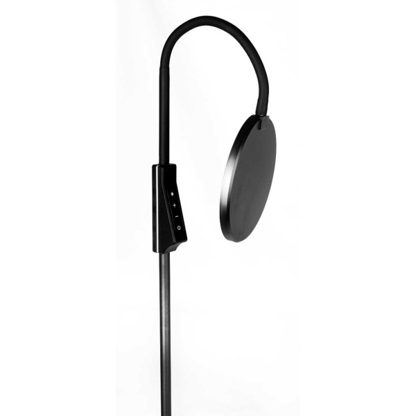Торшер Camelion KD-836F C02 13407 Торшер Camelion KD-836F C02 13407