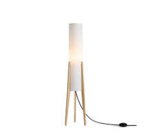 Торшер Freya FR5543FL-01T