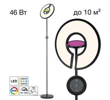 Торшер Citilux Loong CL810031