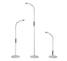 Торшер Citilux Марк CL804020