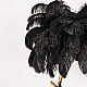 Торшер Imperium Loft Страусиные Перья Feather Lamp A Modern Grand Tour Черный 189584-22