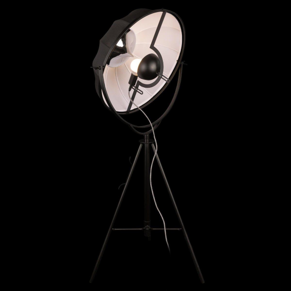 Торшер Loft IT Studio 10301/M Торшер Loft IT Studio 10301/M