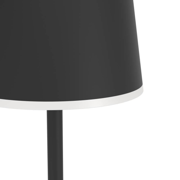 Аккуммуляторный сенсорный торшер Eglo MANNERA-L 901748