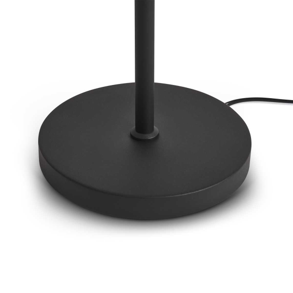 Напольный светильник Freya Modern FR5553FL-L20B