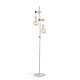 Торшер Evoluce Bagetti SL1142.505.01