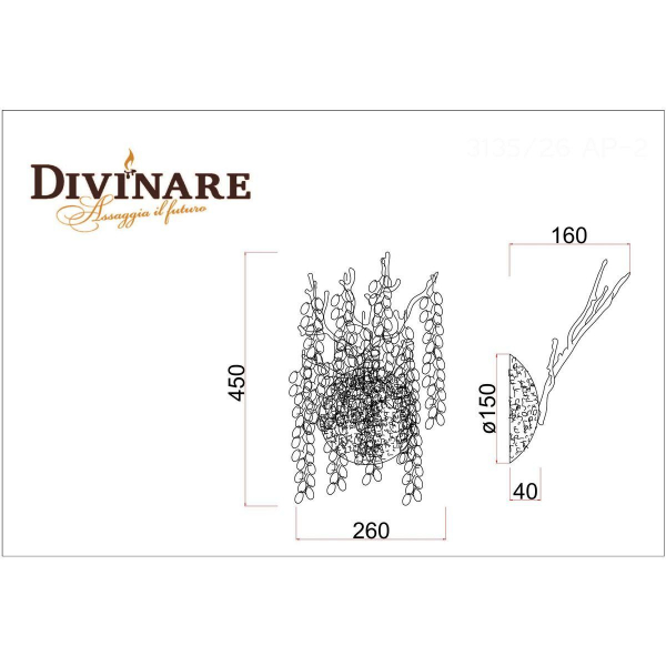 Бра Divinare Salice 3135/26 AP-2 Бра Divinare Salice 3135/26 AP-2