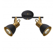 Спот Arte Lamp Jovi A1677PL-2GO