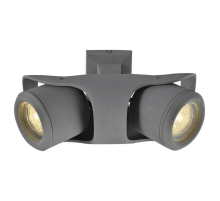 Спот Lussole Loft GRLSP-9939