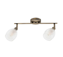 Спот Arte Lamp Biham A3184PL-2AB