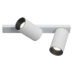 Спот Citilux Axel CL512520