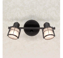 Спот Citilux Реймс CL563521