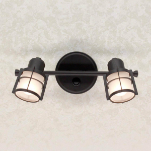 Спот Citilux Реймс CL563521