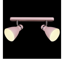 Спот Reluce 05060-0.8-02C PK