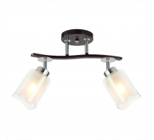 Спот Citilux Фортуна CL156122