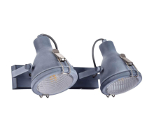 Спот Arte Lamp A9178AP-2GY