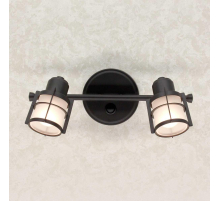 Спот Citilux Реймс CL563521