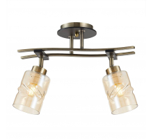 Спот Citilux Мерида CL142124