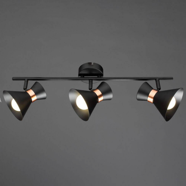 Спот Arte Lamp Baltimore A1406PL-3BK Спот Arte Lamp Baltimore A1406PL-3BK