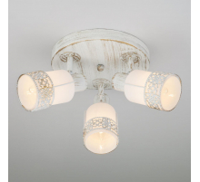 Спот Eurosvet 20026/3 белый с золотом