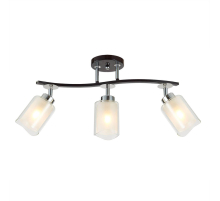 Спот Citilux Фортуна CL156132