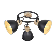 Спот Globo Wiho 54018-3S