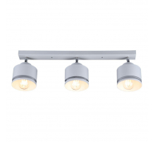 Спот IMEX SP.025-53-80