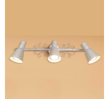 Спот Citilux Дункан CL529532