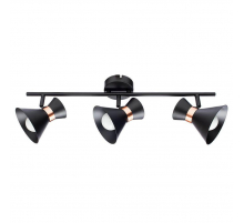 Спот Arte Lamp Baltimore A1406PL-3BK