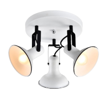 Спот Lussole Loft Fargo LSP-8803