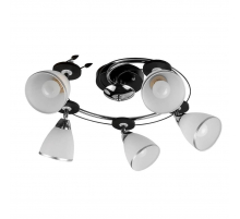 Спот Toplight Sara TL2730X-05BC