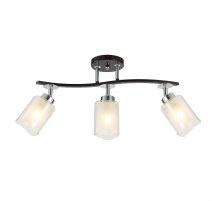 Спот Citilux Фортуна CL156132