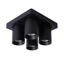 Спот Lucide Nigel 09929/20/30