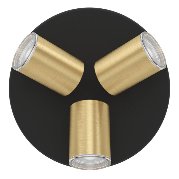 Спот Eglo Consuma 1 300586