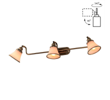 Спот Citilux Прованс CL511533